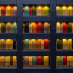 plante de apartament