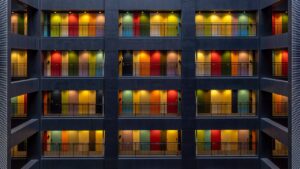 plante de apartament
