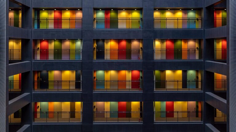 plante de apartament