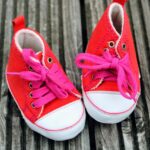 evelina semnificatie nume
