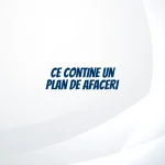 ce contine un plan de afaceri