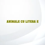animale cu litera e