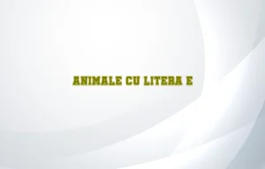 animale cu litera e