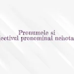 pronumele si adjectivul pronominal nehotarat