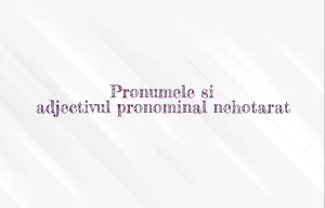 pronumele si adjectivul pronominal nehotarat