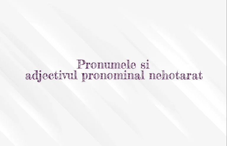 pronumele si adjectivul pronominal nehotarat