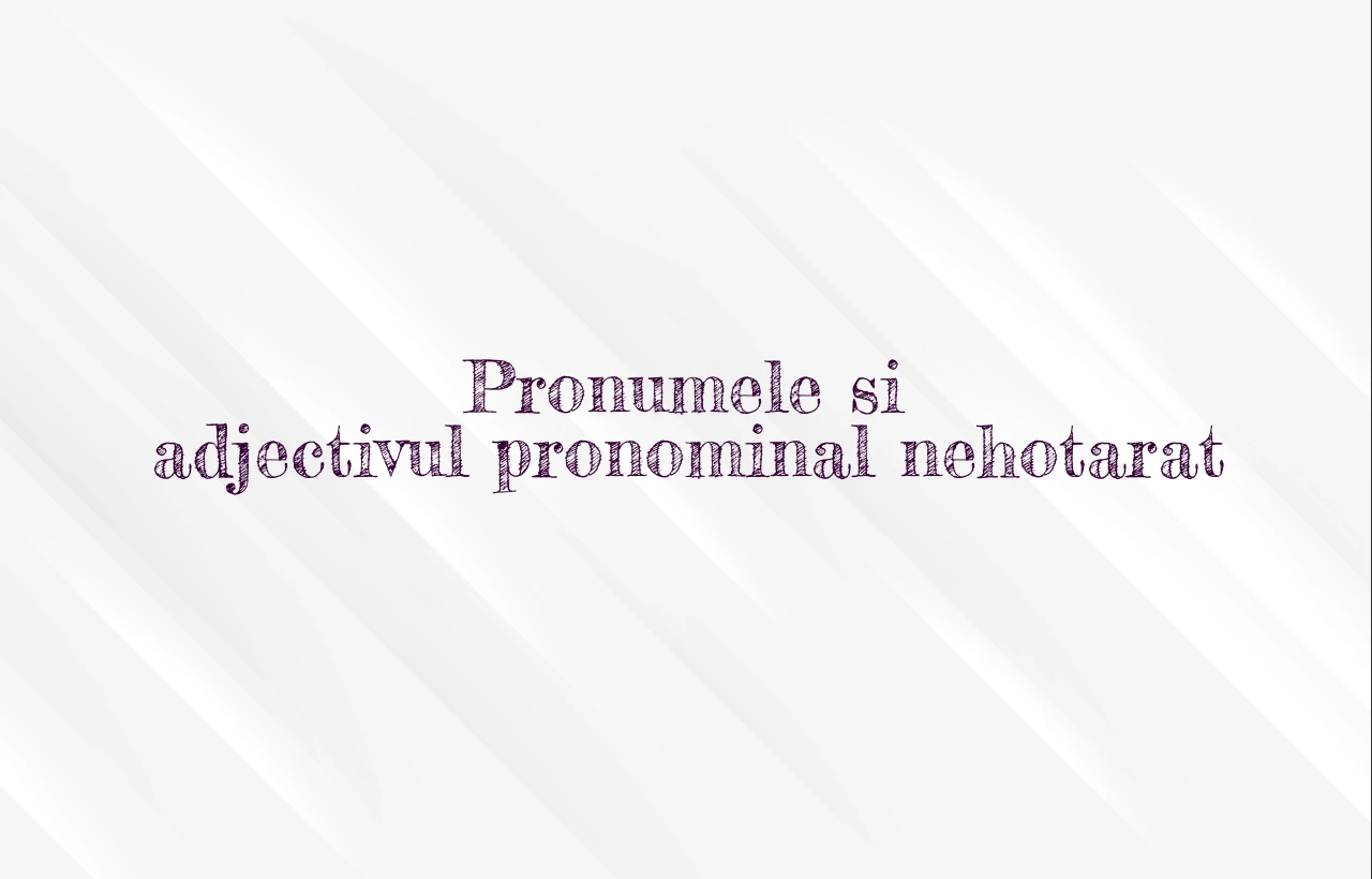 pronumele si adjectivul pronominal nehotarat