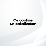 ce contine un catalizator