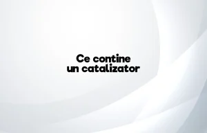 ce contine un catalizator