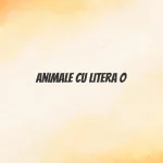 animale cu litera o