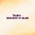 toamna despartit in silabe