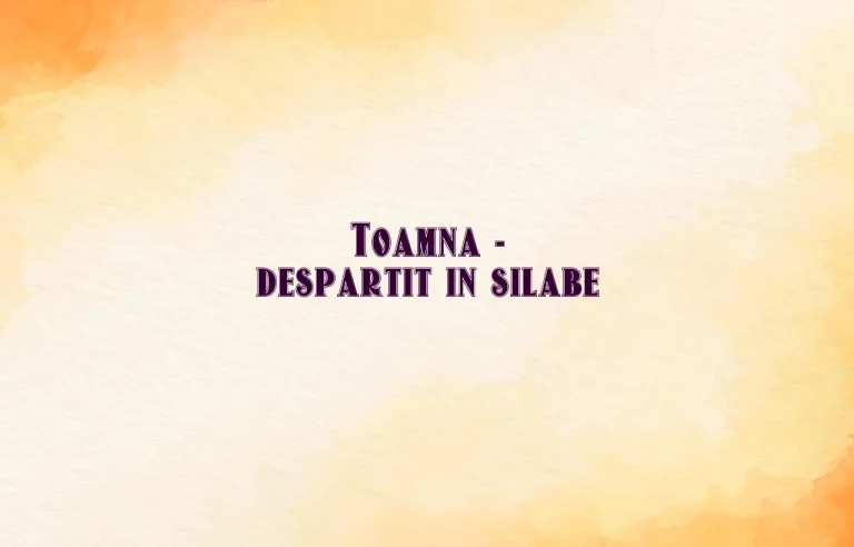 toamna despartit in silabe
