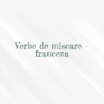 verbe de miscare franceza