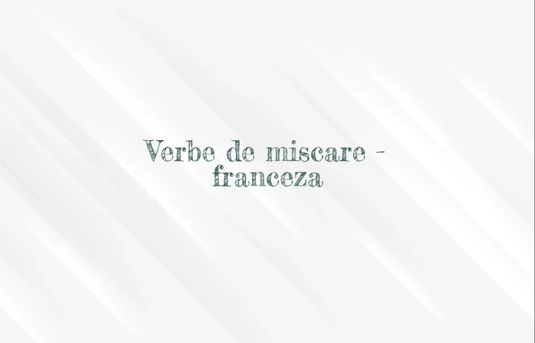 verbe de miscare franceza