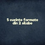 5 cuvinte formate din 2 silabe