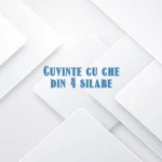 cuvinte cu che din 4 silabe