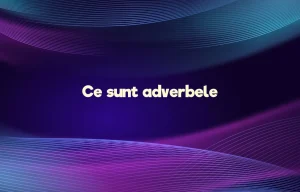 ce sunt adverbele