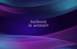 atribut in acuzativ