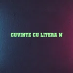 cuvinte cu litera w