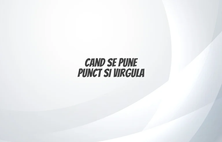 cand se pune punct si virgula
