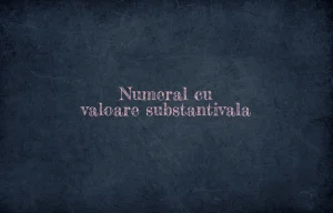numeral cu valoare substantivala