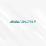 animale cu litera h